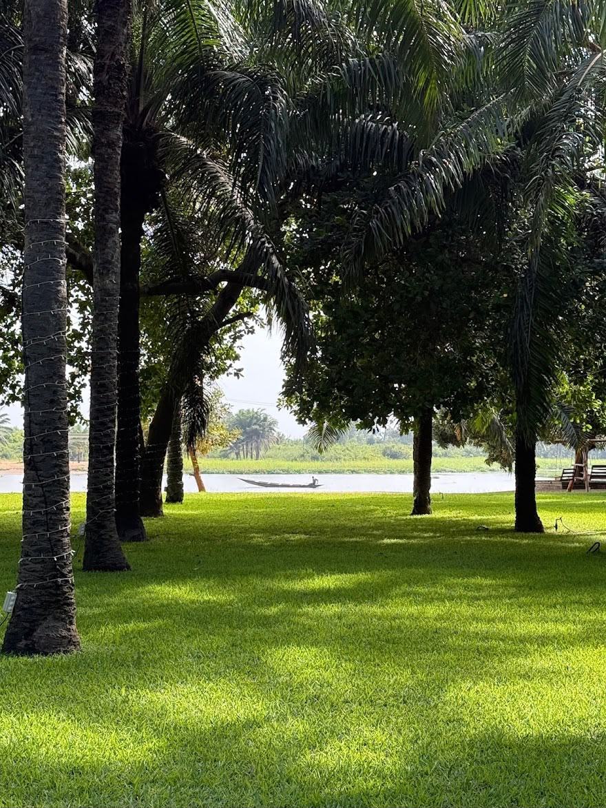 Palm trees shading a green lawn that runs down to the river, with a canoe on the water.